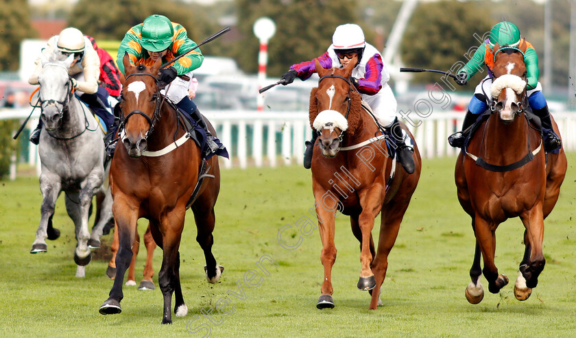 Saluti-0002 
 SALUTI (left, Georgia Cox) beats VON BLUCHER (centre) and HART STOPPER (right) in The Silk Series Lady Riders Handicap
Doncaster 12 Sep 2019 - Pic Steven Cargill / Racingfotos.com