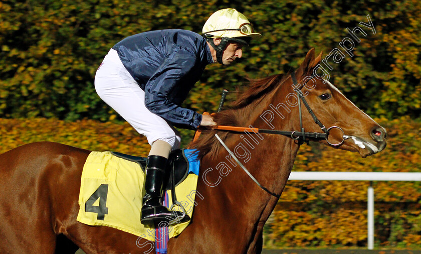 Crystal-Moonlight-0001 
 CRYSTAL MOONLIGHT (Ted Durcan) Kempton 8 Nov 2017 - Pic Steven Cargill / Racingfotos.com