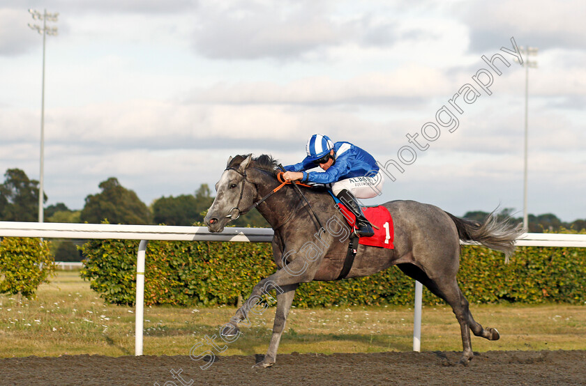 Mubakker-0003 
 MUBAKKER (Dane O'Neill) wins The Matchbook Betting Exchange Novice Stakes
Kempton 3 Sep 2019 - Pic Steven Cargill / Racingfotos.com