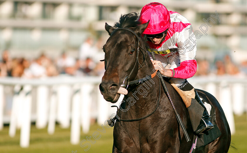 Entrusting-0005 
 ENTRUSTING (Ryan Moore) wins The T T Tents Handicap
Newbury 20 Sep 2019 - Pic Steven Cargill / Racingfotos.com