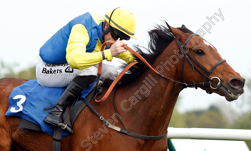 Orin-Swift-0005 
 ORIN SWIFT (Richard Kingscote) wins The Bet At Racingtv.com Handicap
Nottingham 30 Apr 2019 - Pic Steven Cargill / Racingfotos.com