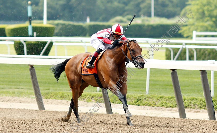 Separationofpowers-0003 
 SEPARATIONOFPOWERS (Jose Ortiz) wins The Bed O'Roses Invitational
Belmont Park USA 7 Jun 2019 - Pic Steven Cargill / Racingfotos.com