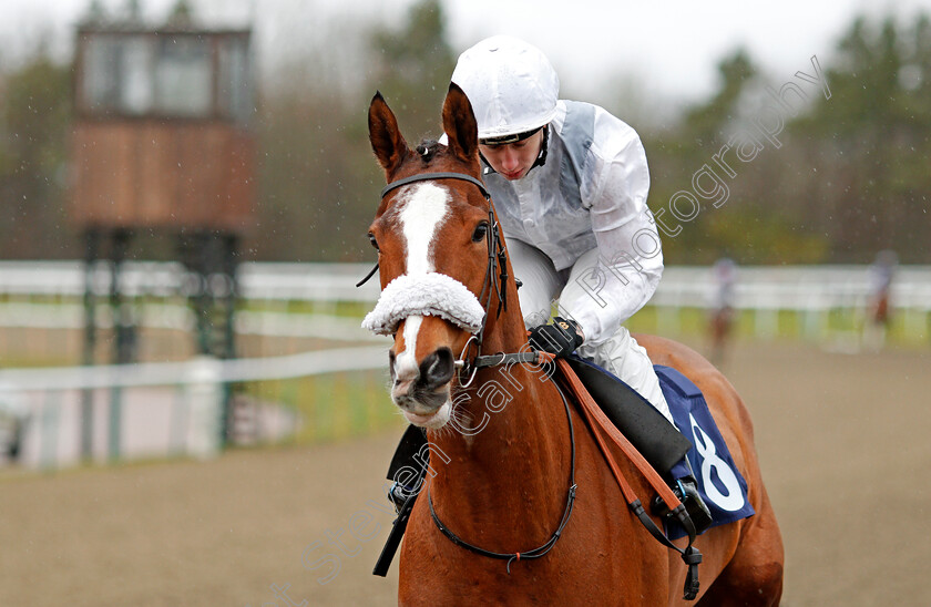 Elbereth-0001 
 ELBERETH (Oisin Murphy) Lingfield 3 Feb 2018 - Pic Steven Cargill / Racingfotos.com