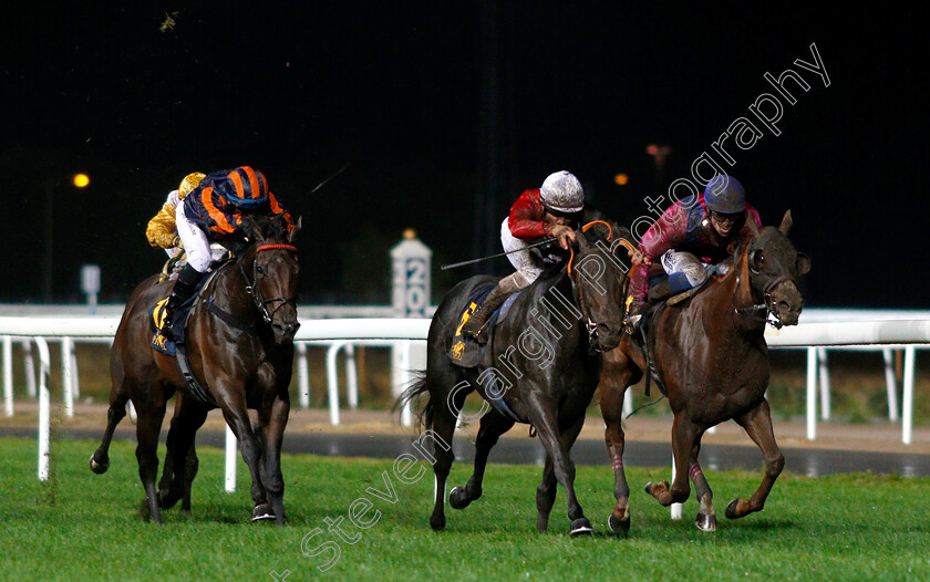 Snake-Lake-0001 
 SNAKE LAKE (Valmir De Azeredo) wins The Breeders Trophy Classic
Bro Park, Sweden 21 Sep 2018 - Pic Steven Cargill / Racingfotos.com