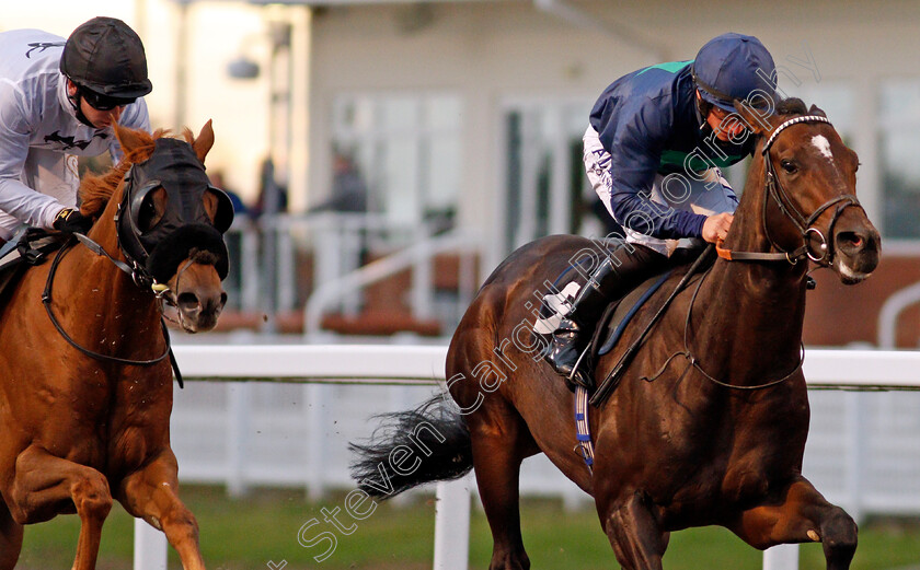 Capla-Knight-0007 
 CAPLA KNIGHT (Tom Marquand) wins The tote Placepot Your First Bet Claiming Stakes
Chelmsford 8 Oct 2020 - Pic Steven Cargill / Racingfotos.com