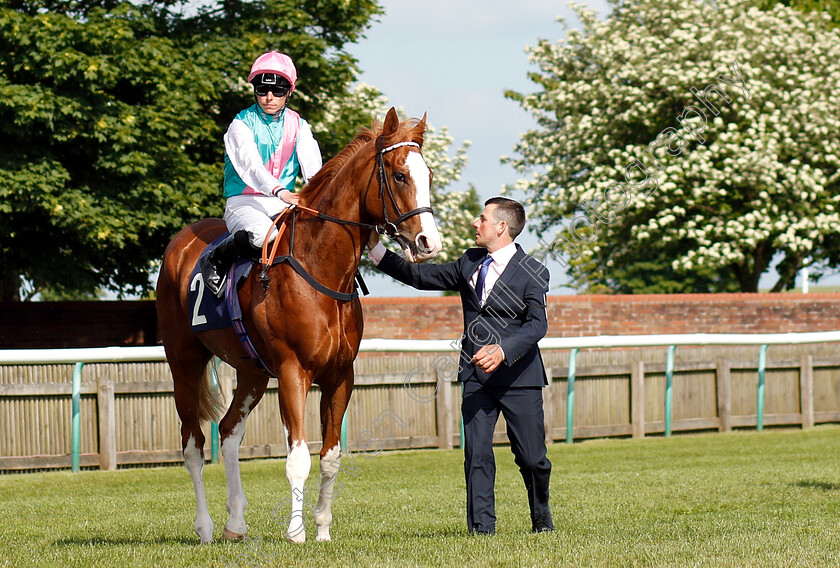 Herculean-0003 
 HERCULEAN (Kieran Shoemark)
Newmarket 18 May 2018 - Pic Steven Cargill / Racingfotos.com