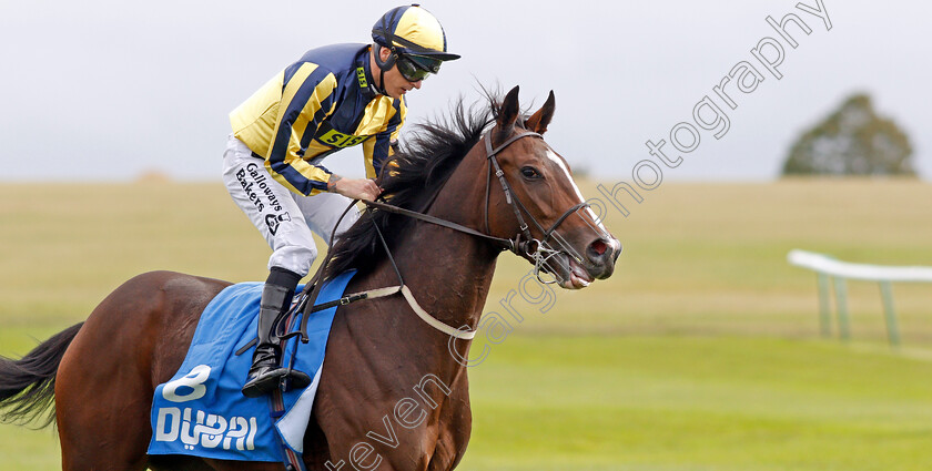 Good-Vibes-0007 
 GOOD VIBES (Richard Kingscote) after The Newmarket Academy Godolphin Beacon Project Cornwallis Stakes
Newmarket 11 Oct 2019 - Pic Steven Cargill / Racingfotos.com