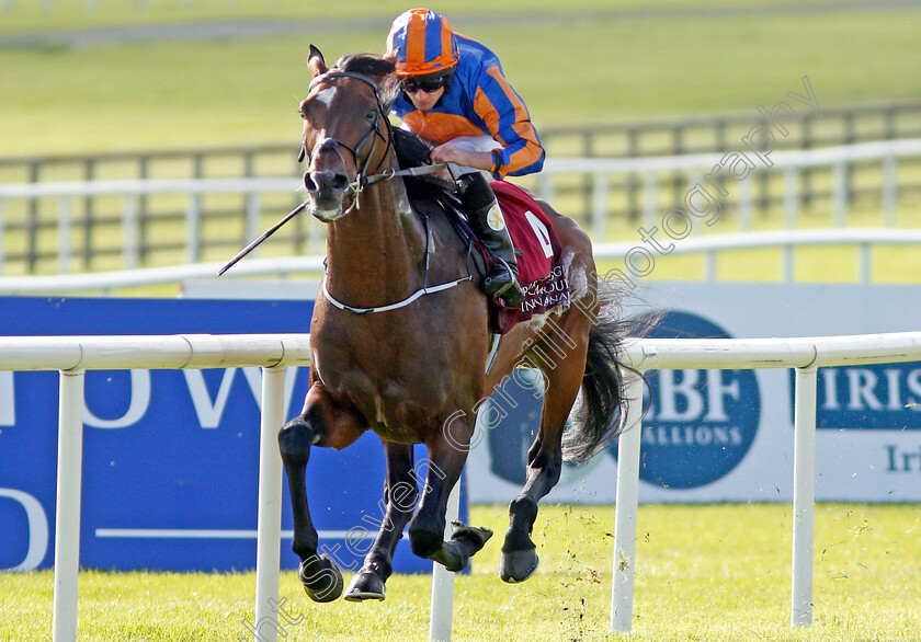 Order-Of-St-George-0005 
 ORDER OF ST GEORGE (Ryan Moore) wins The Comer Group International Irish St Leger Curragh 10 Sep 2017 - Pic Steven Cargill / Racingfotos.com