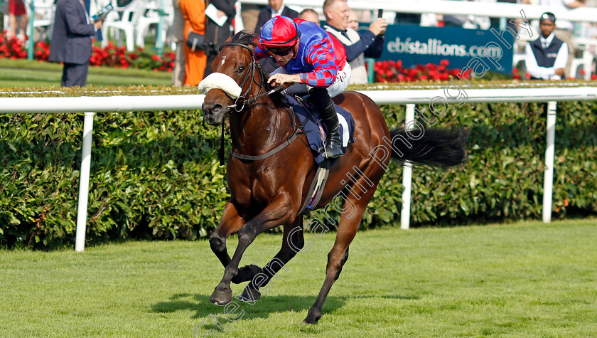 Big-Evs-0005 
 BIG EVS (Tom Marquand) wins The Carlsberg Danish Pilsner Flying Childers Stakes
Doncaster 15 Sep 2023 - Pic Steven Cargill / Racingfotos.com