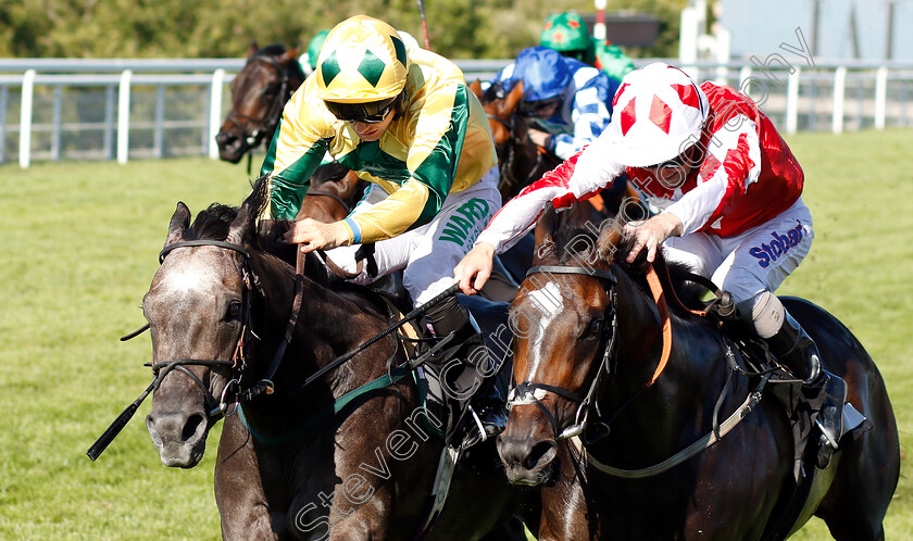 Lord-Riddiford-0002 
 LORD RIDDIFORD (left, Jason Hart) beats MARNIE JAMES (right) in The Tatler Handicap
Goodwood 2 Aug 2018 - Pic Steven Cargill / Racingfotos.com