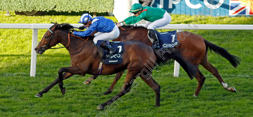 Anmaat-0002 
 ANMAAT (Jim Crowley) wins The Qipco Champion Stakes
Ascot 19 Oct 2024 - Pic Steven Cargill / Racingfotos.com