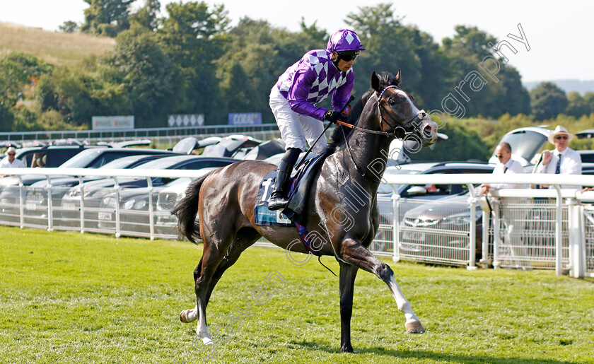 Valsharah-0001 
 VALSHARAH (Sean Levey)
Goodwood 30 Jul 2024 - Pic Steven Cargill / Racingfotos.com