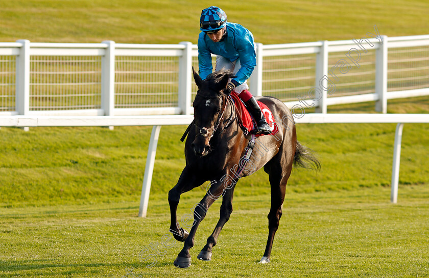 Sunset-Bay-0001 
 SUNSET BAY (Oisin Murphy) winner of The Sir Wilford Brett Handicap
Sandown 21 Jul 2021 - Pic Steven Cargill / Racingfotos.com