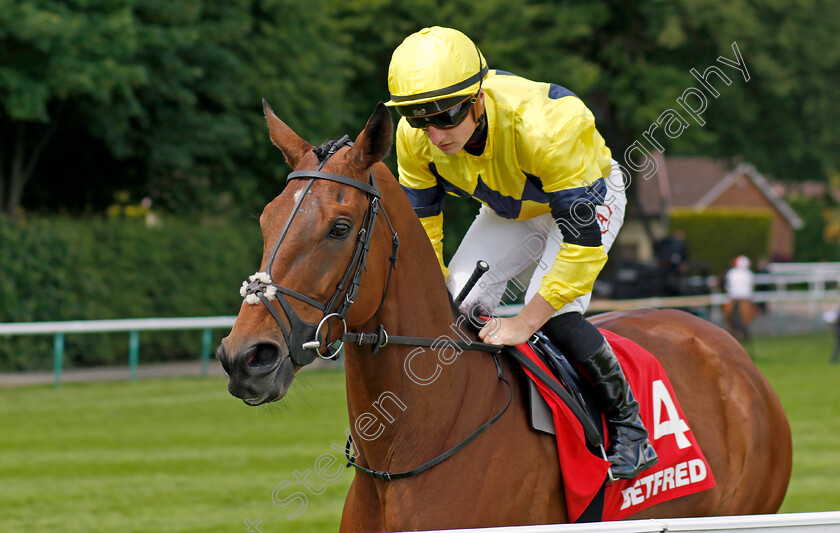 Zabeel-Champion 
 ZABEEL CHAMPION (Tom Marquand)
Haydock 28 May 2022 - Pic Steven Cargill / Racingfotos.com