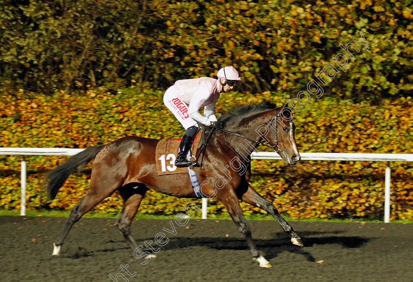 Umberto-0001 
 UMBERTO (Jack Mitchell)
Kempton 16 Nov 2022 - Pic Steven Cargill / Racingfotos.com