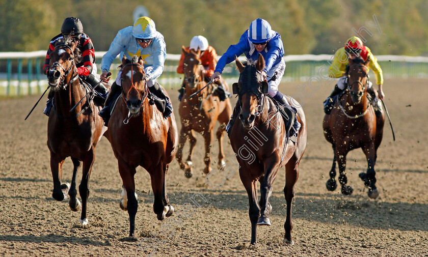 Dawaaleeb-0004 
 DAWAALEEB (right, Jim Crowley) beats MR TYRRELL (2nd left) and FRANCIS XAVIER (left) in The AG Maiden Stakes Lingfield 5 Oct 2017 - Pic Steven Cargill / Racingfotos.com