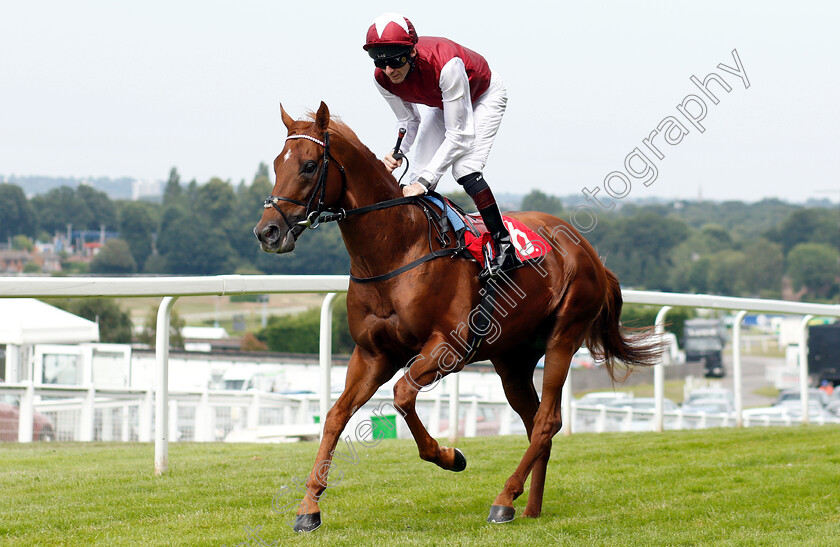 Royal-Line-0001 
 ROYAL LINE (Robert Havlin)
Sandown 5 Jul 2019 - Pic Steven Cargill / Racingfotos.com