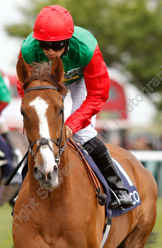 Billesdon-Brook-0001 
 BILLESDON BROOK (Sean Levey)
Newmarket 5 May 2019 - Pic Steven Cargill / Racingfotos.com