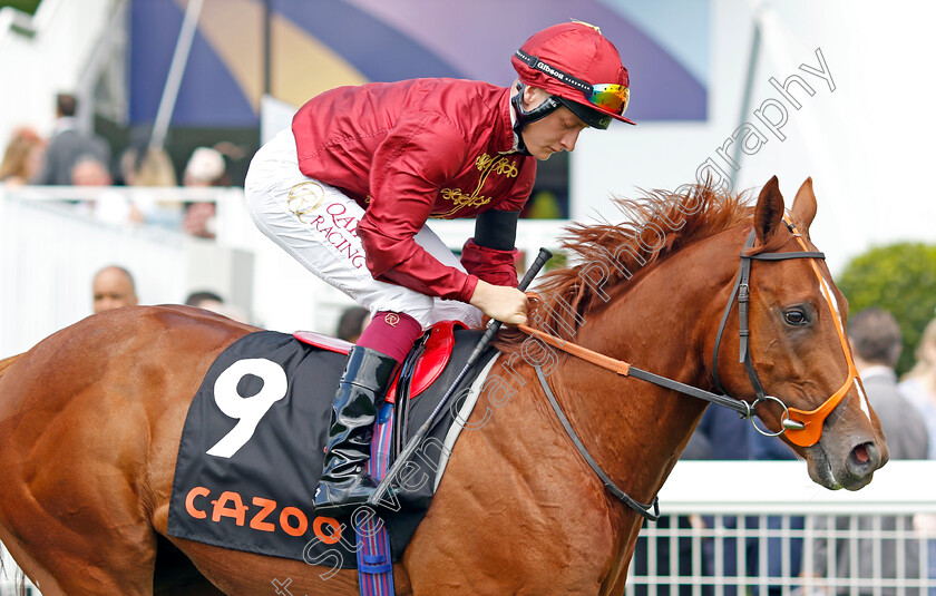 Silencer 
 SILENCER (Cieren Fallon)
Epsom 3 Jul 2022 - Pic Steven Cargill / Racingfotos.com