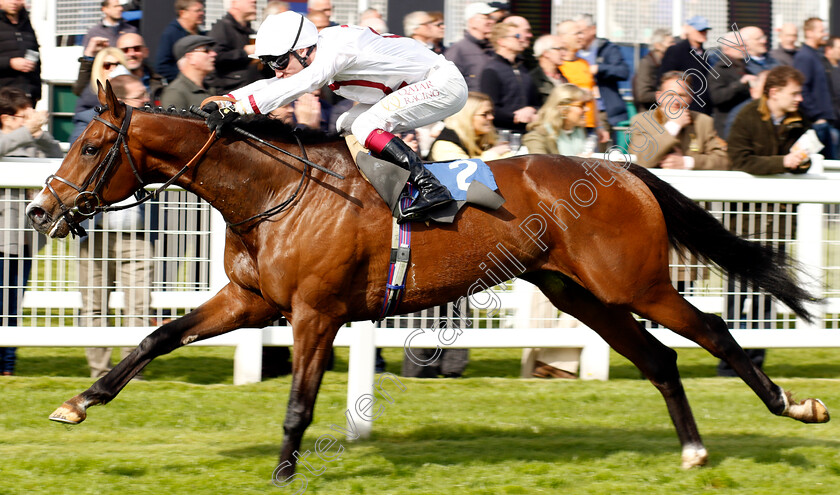 Kadovar-0002 
 KADOVAR (Oisin Murphy) wins The Stephen Wallis Novice Stakes
Epsom 25 Apr 2023 - Pic Steven Cargill / Racingfotos.com