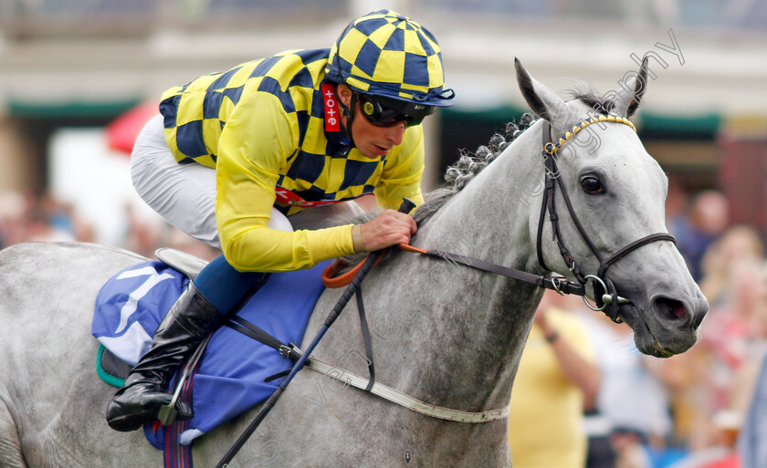 Alfred-Boucher-0006 
 ALFRED BOUCHER (William Buick) wins The Sky Bet Stayers Handicap
York 17 Aug 2022 - Pic Steven Cargill / Racingfotos.com