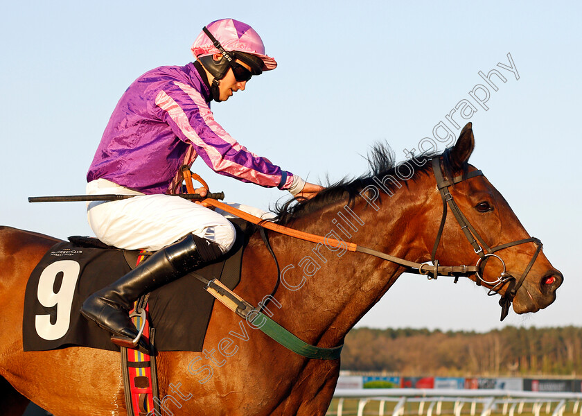 Oksana-0011 
 OKSANA (Jonathan England) after The Mansionbet Best Odds Guaranteed Handicap Hurdle
Market Rasen 19 Apr 2021 - Pic Steven Cargill / Racingfotos.com