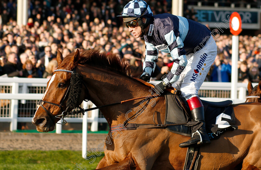 Rock-The-Kasbah-0010 
 ROCK THE KASBAH (Richard Johnson) wins The BetVictor.com Handicap Chase
Cheltenham 17 Nov 2018 - Pic Steven Cargill / Racingfotos.com