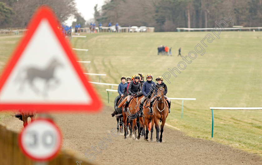 Newmarket-0013 
 A string of racehorses from Sir Mark Prescott walk back to their stables after exercising on Warren Hill Newmarket 23 Mar 2018 - Pic Steven Cargill / Racingfotos.com