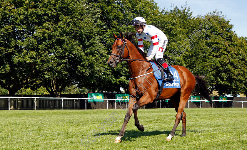 Twilight-Jet 
 TWILIGHT JET (Liam Roche)
Newmarket 9 Jul 2022 - Pic Steven Cargill / Racingfotos.com