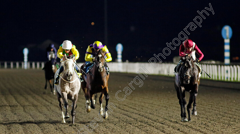 Champagne-Prince-0004 
 CHAMPAGNE PRINCE (William Buick) wins The Unibet Wild Flower Stakes
Kempton 11 Dec 2024 - Pic Steven Cargill / Racingfotos.com