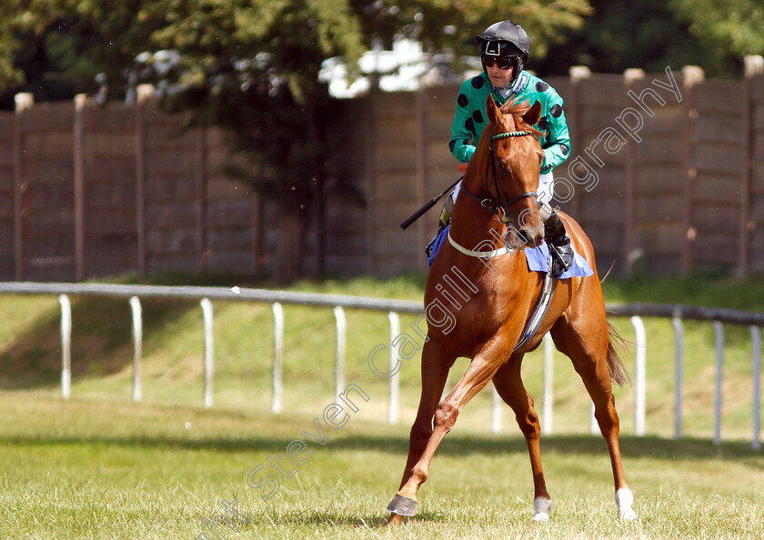 Marilyn-0001 
 MARILYN (Tom Queally)
Pontefract 10 Jul 2018 - Pic Steven Cargill / Racingfotos.com