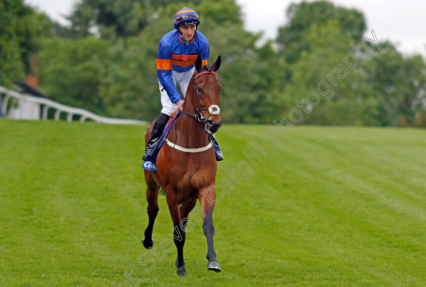 Enemy-0002 
 ENEMY (Daniel Tudhope)
Sandown 26 May 2022 - Pic Steven Cargill / Racingfotos.com