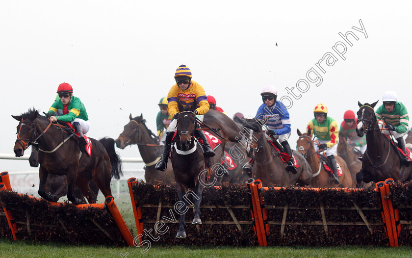 Chaparral-Prince-0002 
 CHAPARRAL PRINCE (Nico De Boinville)
Kempton 27 Dec 2018 - Pic Steven Cargill / Racingfotos.com