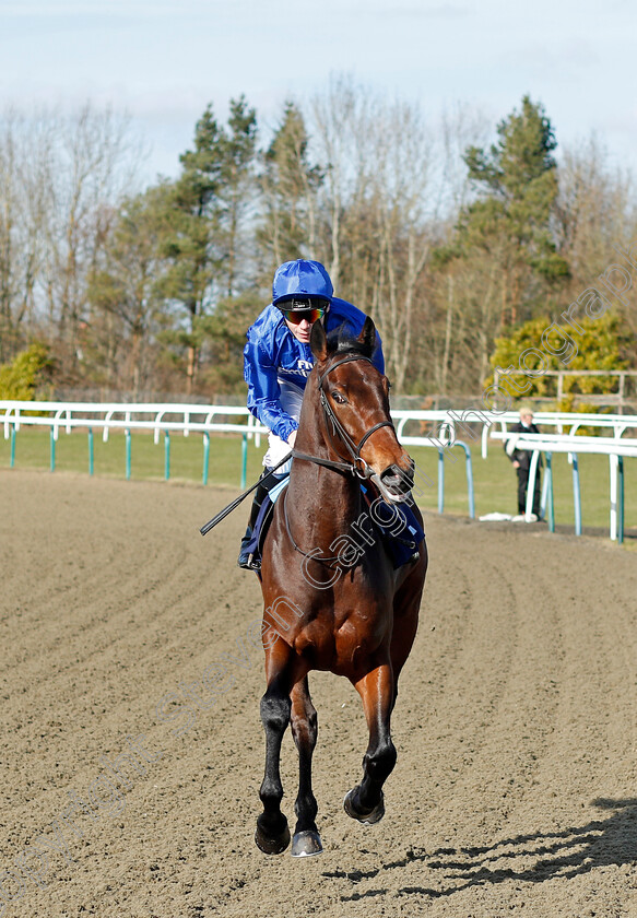 Jazirat-0001 
 JAZIRAT (Jamie Spencer) Lingfield 16 Feb 2018 - Pic Steven Cargill / Racingfotos.com