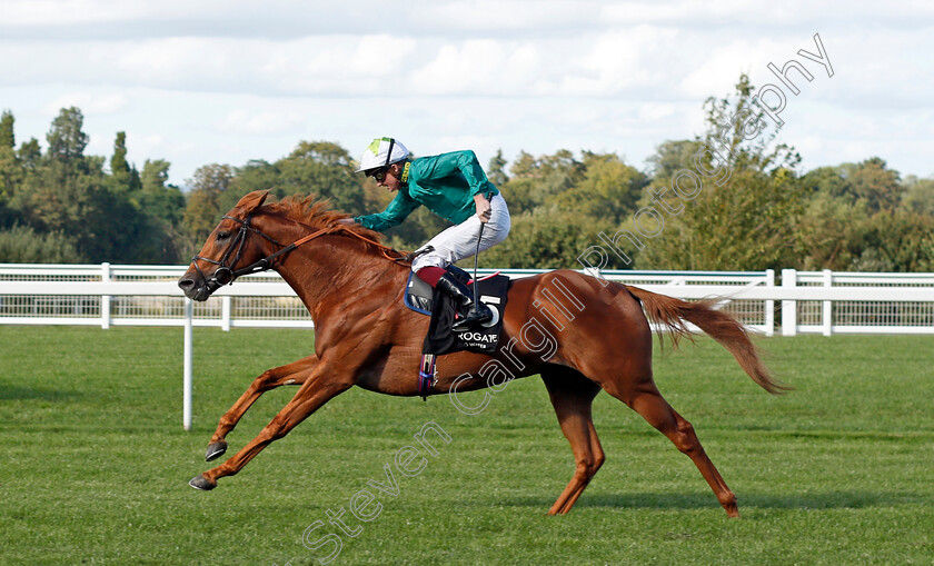 Scope-0004 
 SCOPE (Rob Hornby) wins The Harrogate Water Noel Murless Stakes
Ascot 1 Oct 2021 - Pic Steven Cargill / Racingfotos.com