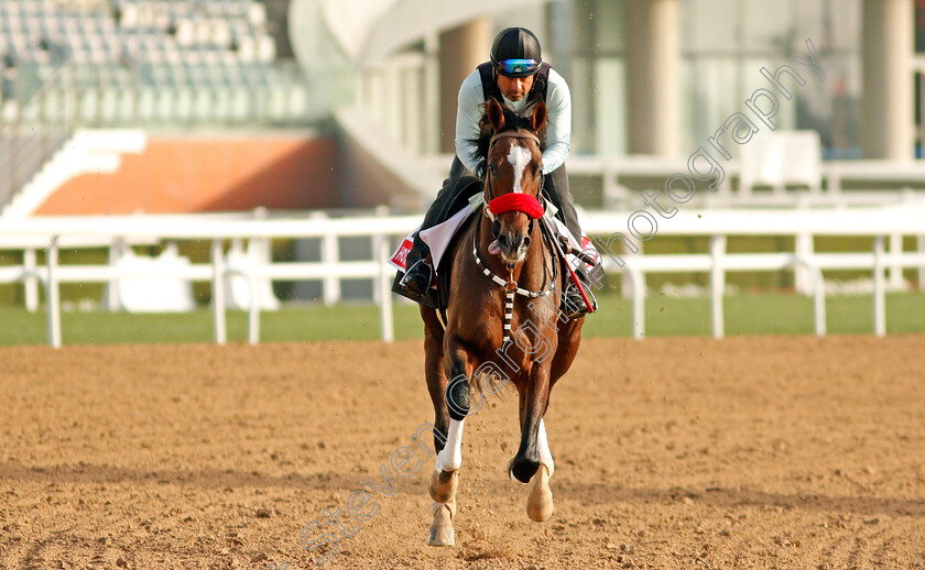 Hot-Rod-Charlie-0003 
 HOT ROD CHARLIE training for the Dubai World Cup
Meydan, Dubai, 23 Mar 2022 - Pic Steven Cargill / Racingfotos.com