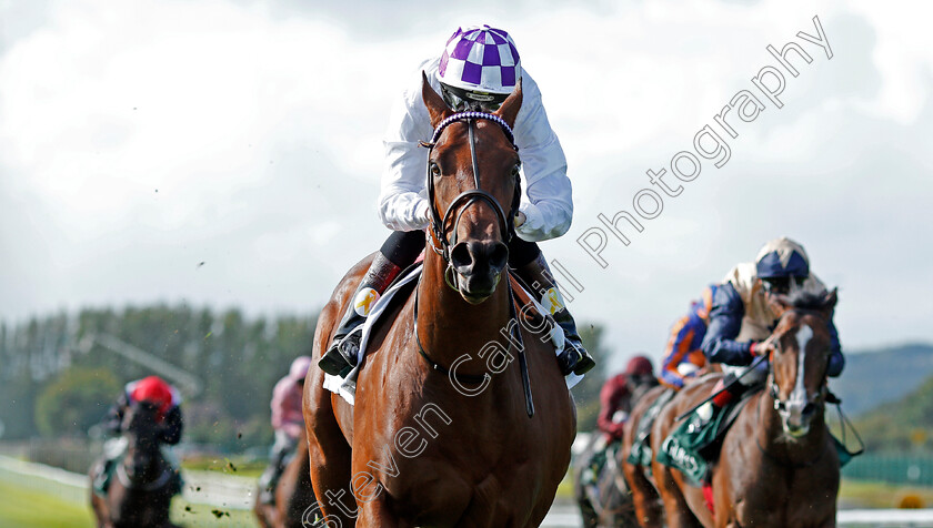 Verbal-Dexterity-0006 
 VERBAL DEXTERITY (Kevin Manning) wins The Goffs Vincent O'Brien National Stakes Curragh 10 Sep 2017 - Pic Steven Cargill / Racingfotos.com