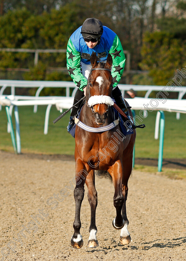 Mohareb-0001 
 MOHAREB (Luke Morris)
Lingfield 10 Jan 2020 - Pic Steven Cargill / Racingfotos.com