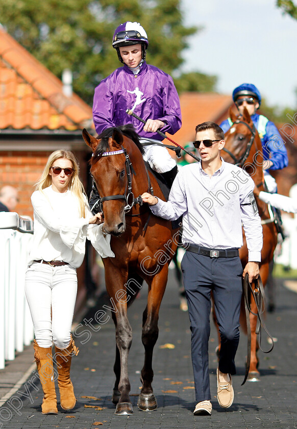 Mr-Professor-0001 
 MR PROFESSOR (Rossa Ryan)
Newmarket 23 Sep 2021 - Pic Steven Cargill / Racingfotos.com