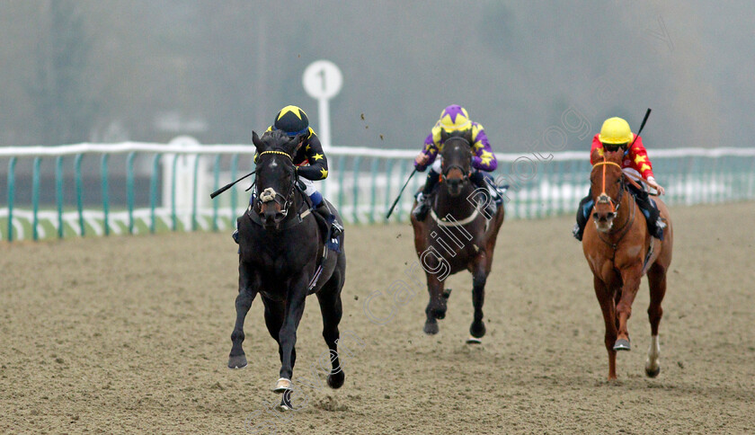 Wyvern-0004 
 WYVERN (Marco Ghiani) wins The Mansionbet Beaten By A Head Median Auction Maiden Stakes
Lingfield 25 Jan 2022 - Pic Steven Cargill / Racingfotos.com