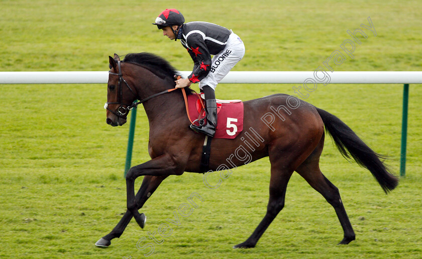 Five-Amarones-0001 
 FIVE AMARONES (Martin Harley)
Haydock 25 May 2018 - Pic Steven Cargill / Racingfotos.com