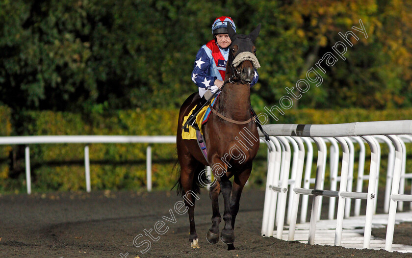 Jufn-0001 
 JUFN (Liam Keniry) Kempton 4 Oct 2017 - Pic Steven Cargill / Racingfotos.com