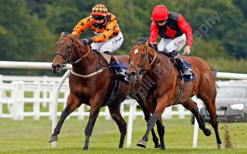 Brenner-Pass-0003 
 BRENNER PASS (right, Shane Kelly) beats EDGE OF THE BAY (left) in The Betway Novice Median Auction Stakes
Lingfield 7 Sep 2020 - Pic Steven Cargill / Racingfotos.com