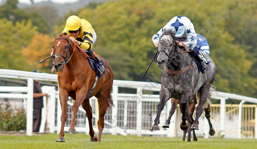 Wahaab-0003 
 WAHAAB (left, Timmy Murphy) beats CHAMPAGNE BOB (right) in The CSP Handicap Chepstow 6 Sep 2017 - Pic Steven Cargill / Racingfotos.com