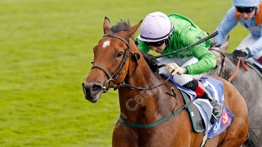 Breege-0002 
 BREEGE (Colin Keane) wins The Sky Bet City Of York Stakes
York 24 Aug 2024 - Pic Steven Cargill / Racingfotos.com