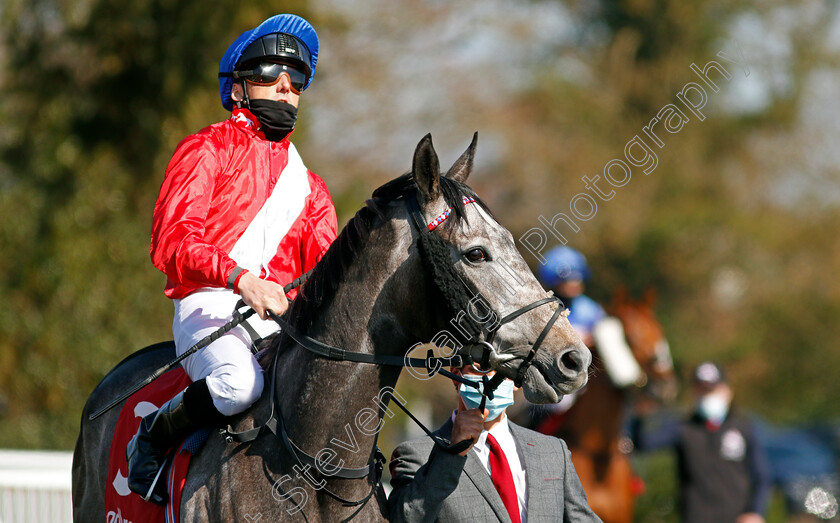 Indie-Angel-0001 
 INDIE ANGEL (Martin Harley)
Lingfield 2 Apr 2021 - Pic Steven Cargill / Racingfotos.com