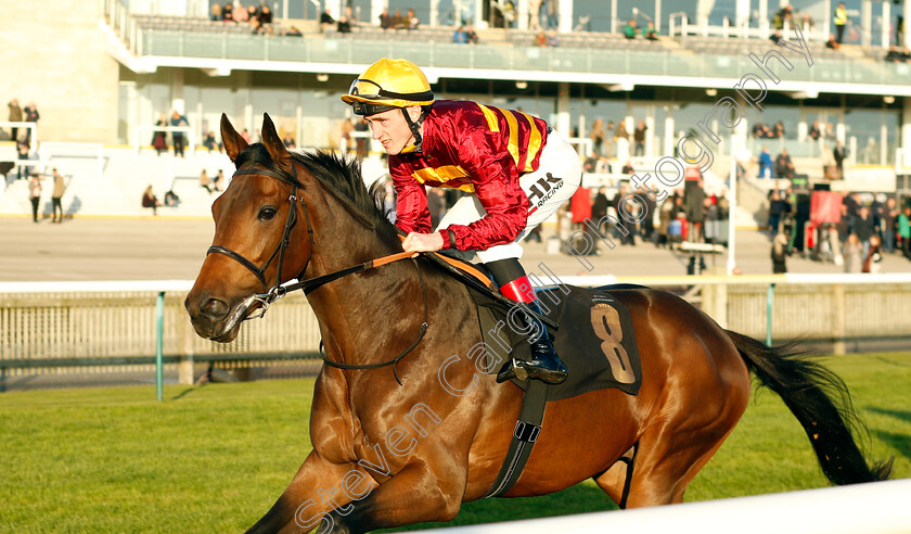 French-Duke-0001 
 FRENCH DUKE (David Egan)
Newmarket 25 Oct 2023 - Pic Steven Cargill / Racingfotos.com