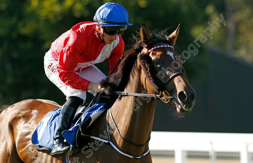 Enshrine-0001 
 ENSHRINE (Tom Marquand)
Salisbury 11 Aug 2022 - Pic Steven Cargill / Racingfotos.com