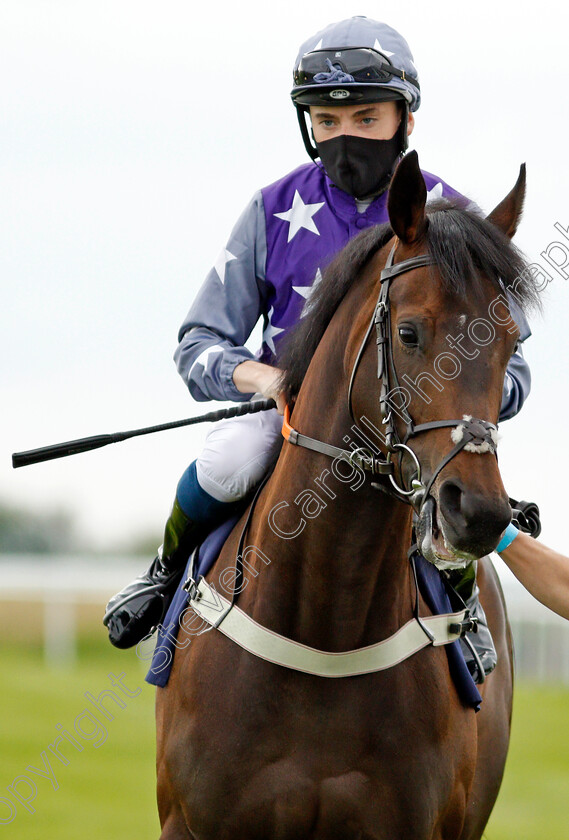 Buy-Me-Back-0001 
 BUY ME BACK (Callum Shepherd)
Bath 18 Jul 2020 - Pic Steven Cargill / Racingfotos.com