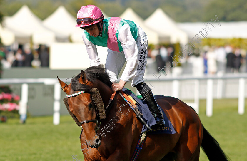 Macduff-0001 
 MACDUFF (Rossa Ryan)
Royal Ascot 21 Jun 2024 - Pic Steven Cargill / Racingfotos.com